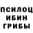 Псилоцибиновые грибы мицелий Jack Forceuss