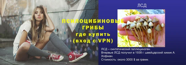 ALPHA PVP Аркадак