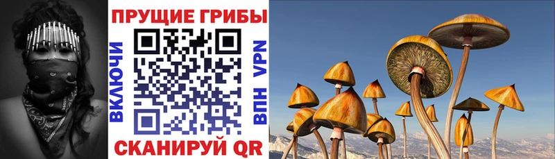 Псилоцибиновые грибы мицелий  Купить где  Верхняя Салда 